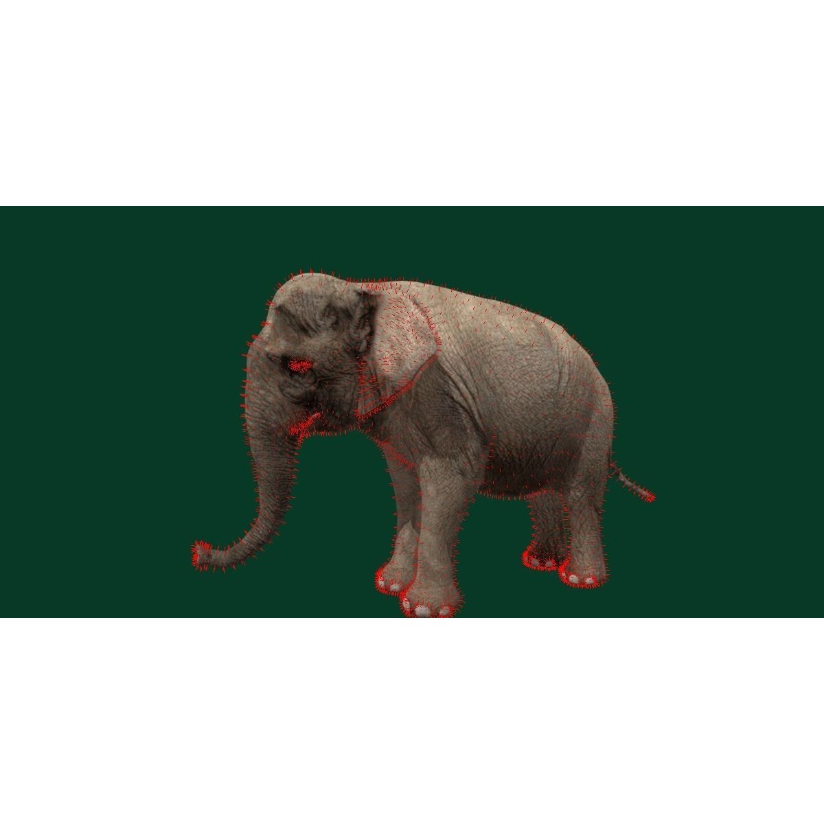 Asian Elephant Adult - Low-Poly Game-Ready 3D Model - View 8