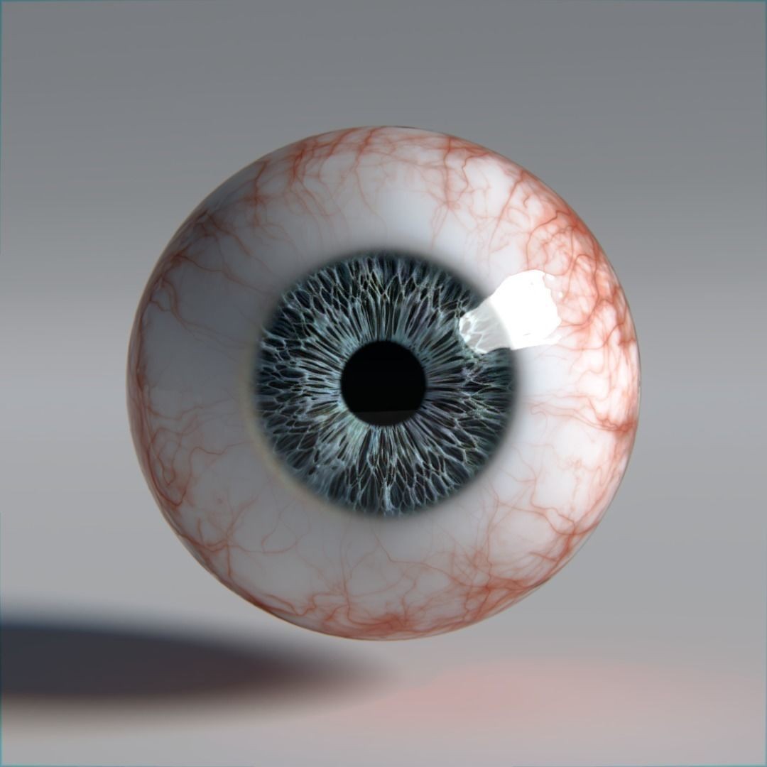 Photorealistic Human Eyes 3D Model – Low Poly Rigged Asset for Blender & V-Ray - View 10