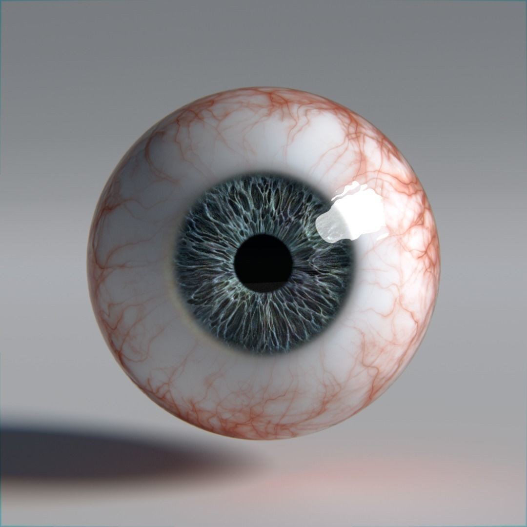 Photorealistic Human Eyes 3D Model – Low Poly Rigged Asset for Blender & V-Ray - View 11