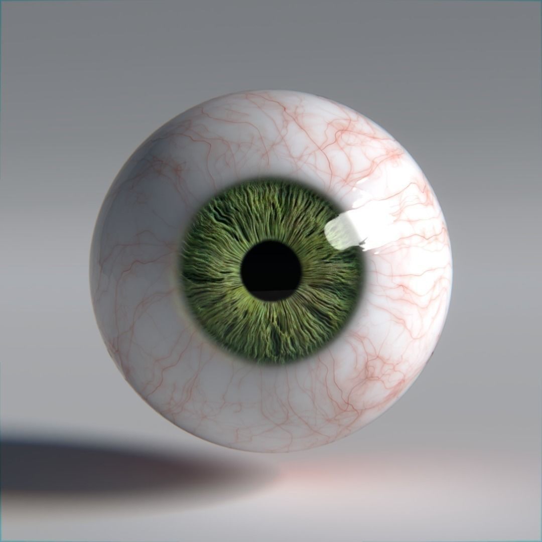 Photorealistic Human Eyes 3D Model – Low Poly Rigged Asset for Blender & V-Ray - View 12