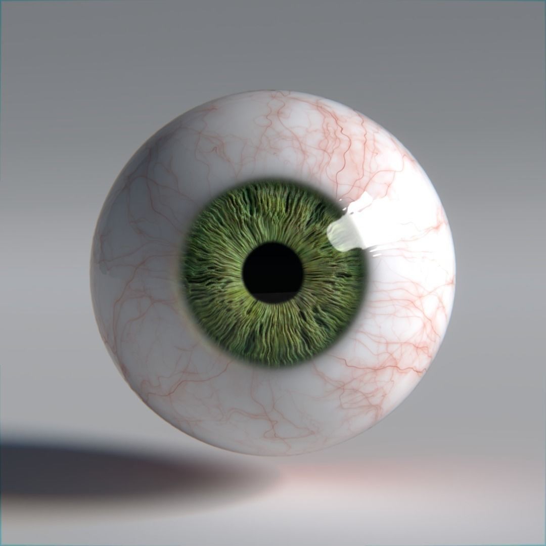 Photorealistic Human Eyes 3D Model – Low Poly Rigged Asset for Blender & V-Ray - View 13