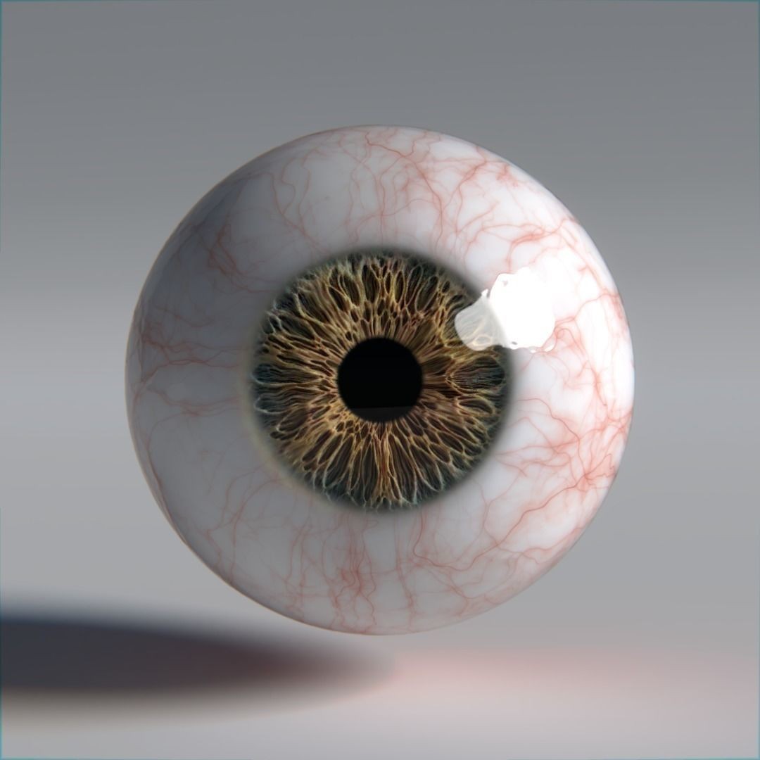 Photorealistic Human Eyes 3D Model – Low Poly Rigged Asset for Blender & V-Ray - View 15