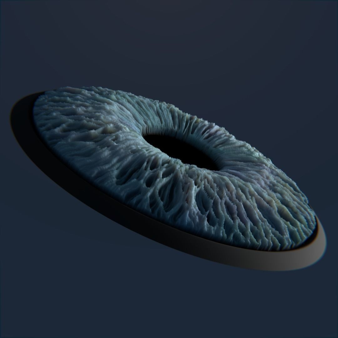 Photorealistic Human Eyes 3D Model – Low Poly Rigged Asset for Blender & V-Ray - View 16