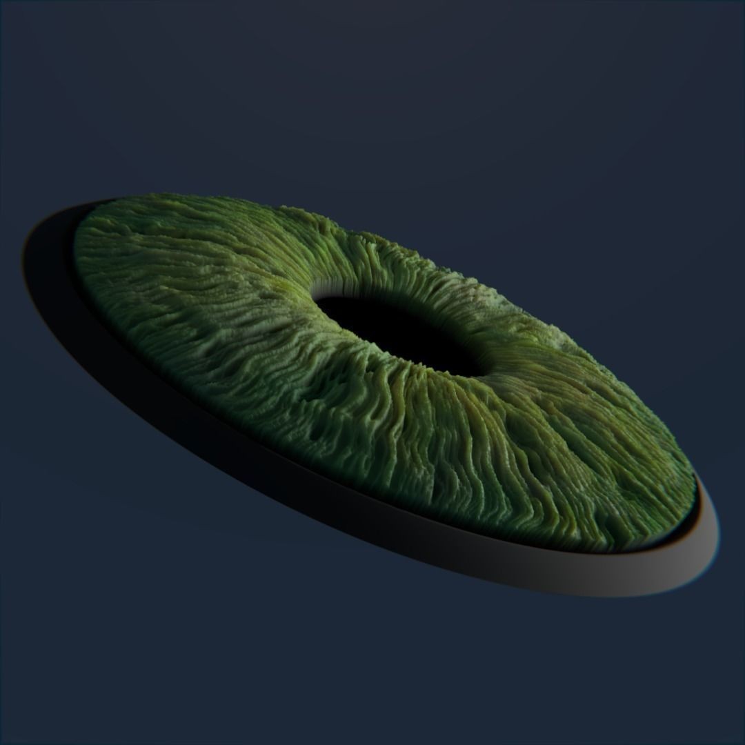 Photorealistic Human Eyes 3D Model – Low Poly Rigged Asset for Blender & V-Ray - View 17