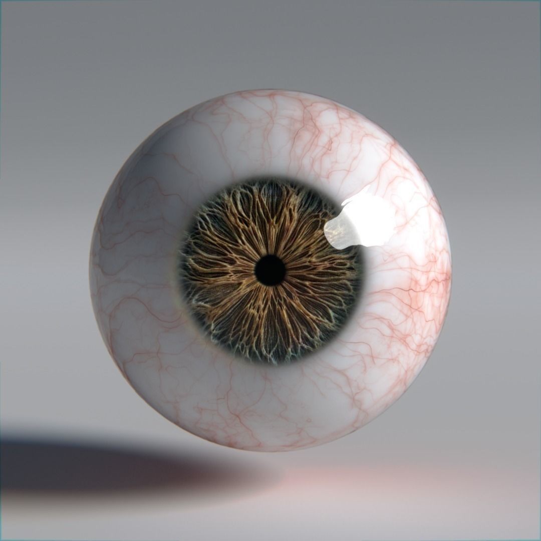 Photorealistic Human Eyes 3D Model – Low Poly Rigged Asset for Blender & V-Ray - View 19