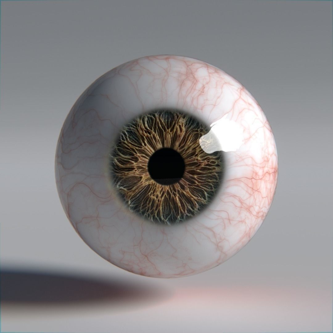Photorealistic Human Eyes 3D Model – Low Poly Rigged Asset for Blender & V-Ray - View 20