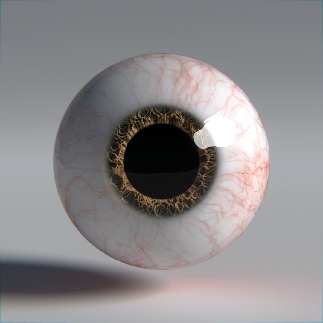 Photorealistic Human Eyes 3D Model – Low Poly Rigged Asset for Blender & V-Ray - View 22