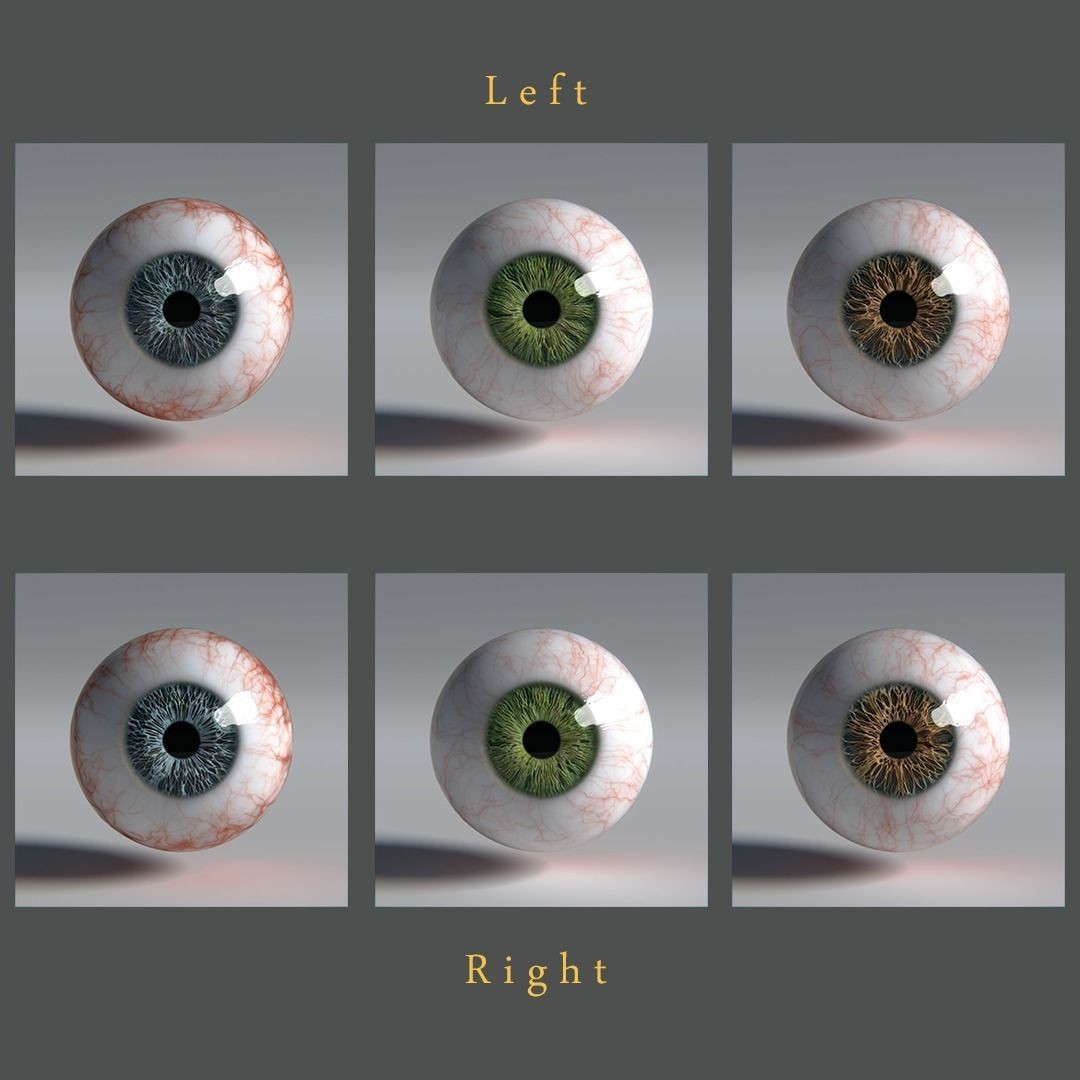 Photorealistic Human Eyes 3D Model – Low Poly Rigged Asset for Blender & V-Ray - View 3