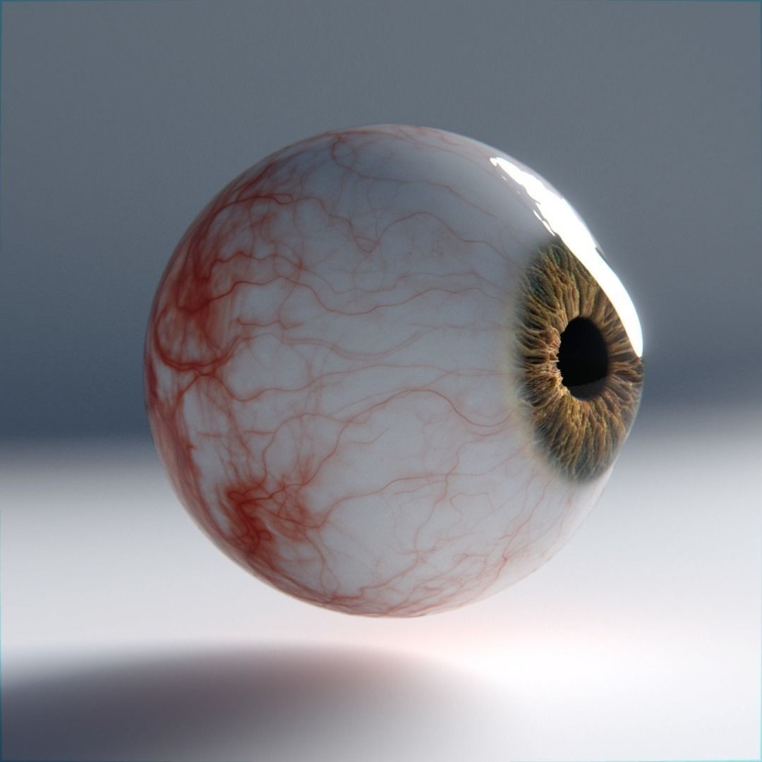 Photorealistic Human Eyes 3D Model – Low Poly Rigged Asset for Blender & V-Ray - View 4