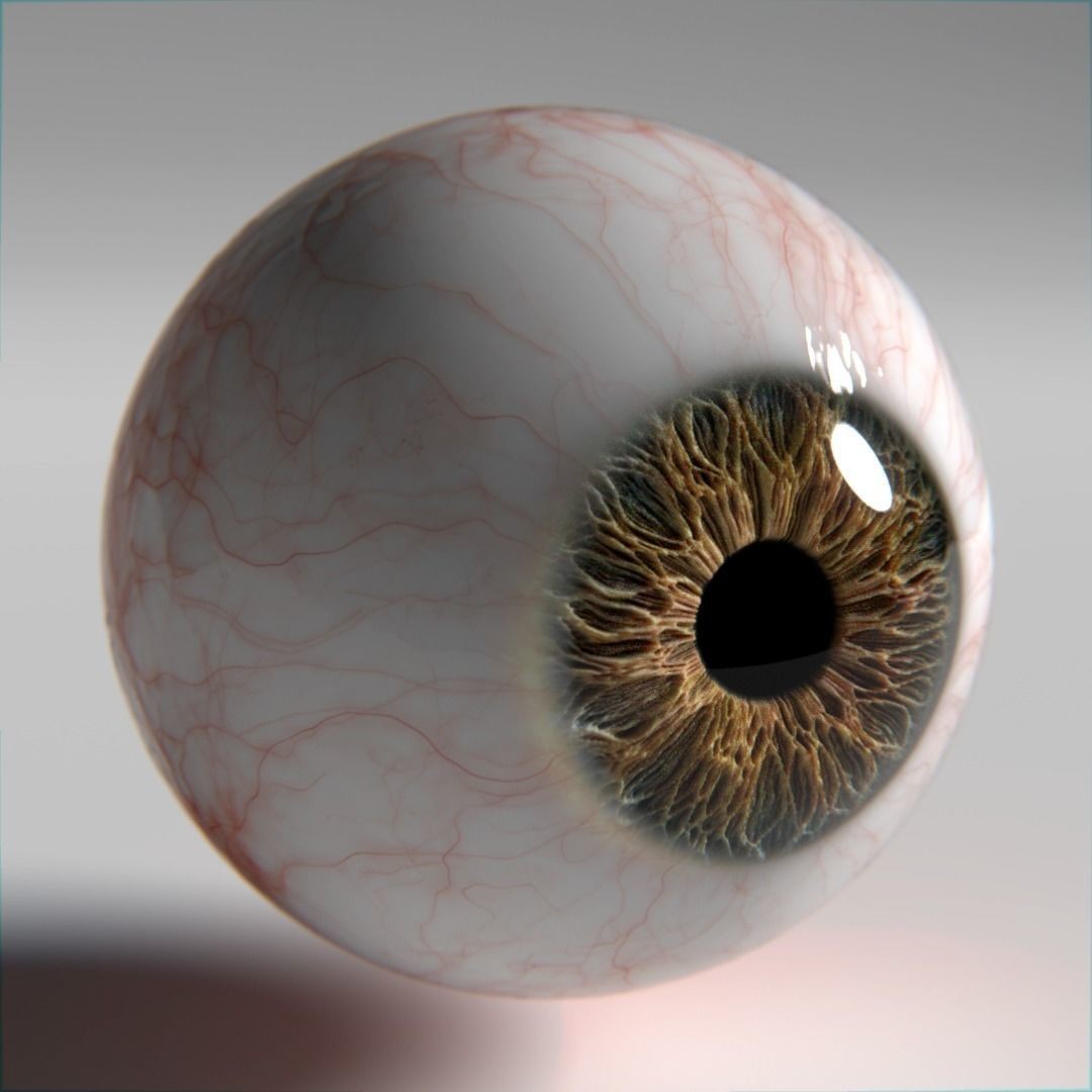 Photorealistic Human Eyes 3D Model – Low Poly Rigged Asset for Blender & V-Ray - View 5