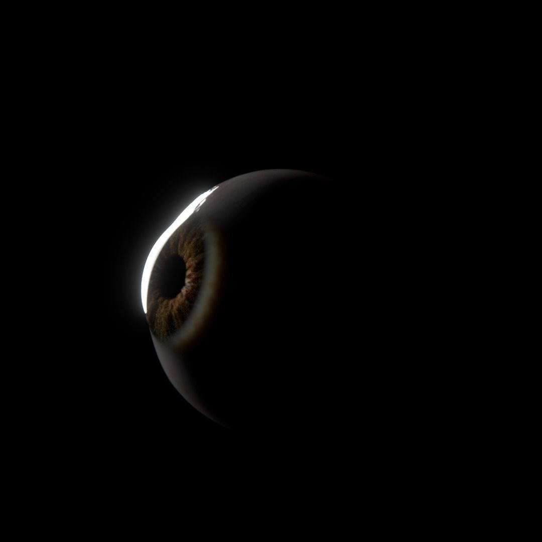 Photorealistic Human Eyes 3D Model – Low Poly Rigged Asset for Blender & V-Ray - View 6
