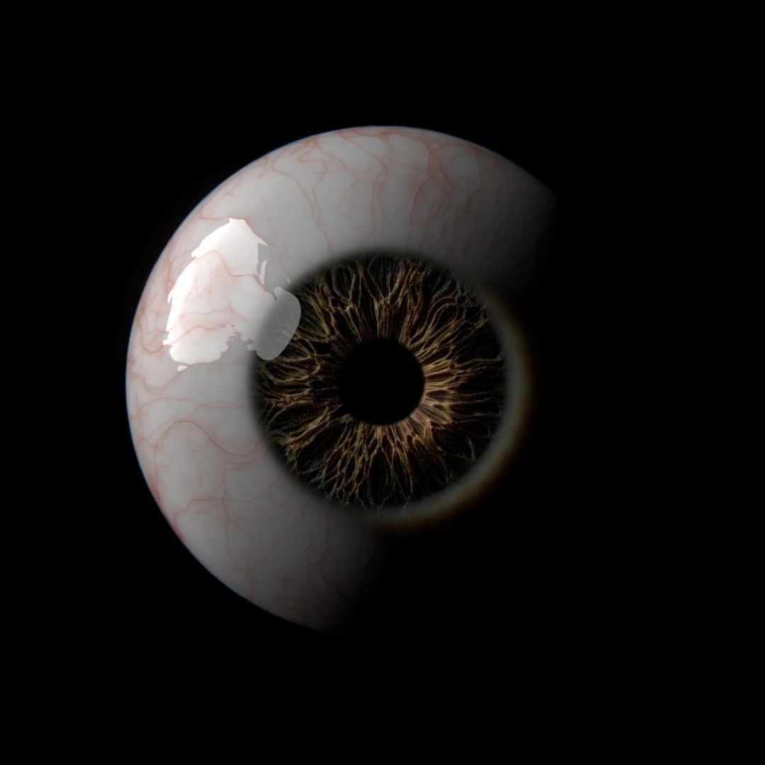 Photorealistic Human Eyes 3D Model – Low Poly Rigged Asset for Blender & V-Ray - View 7