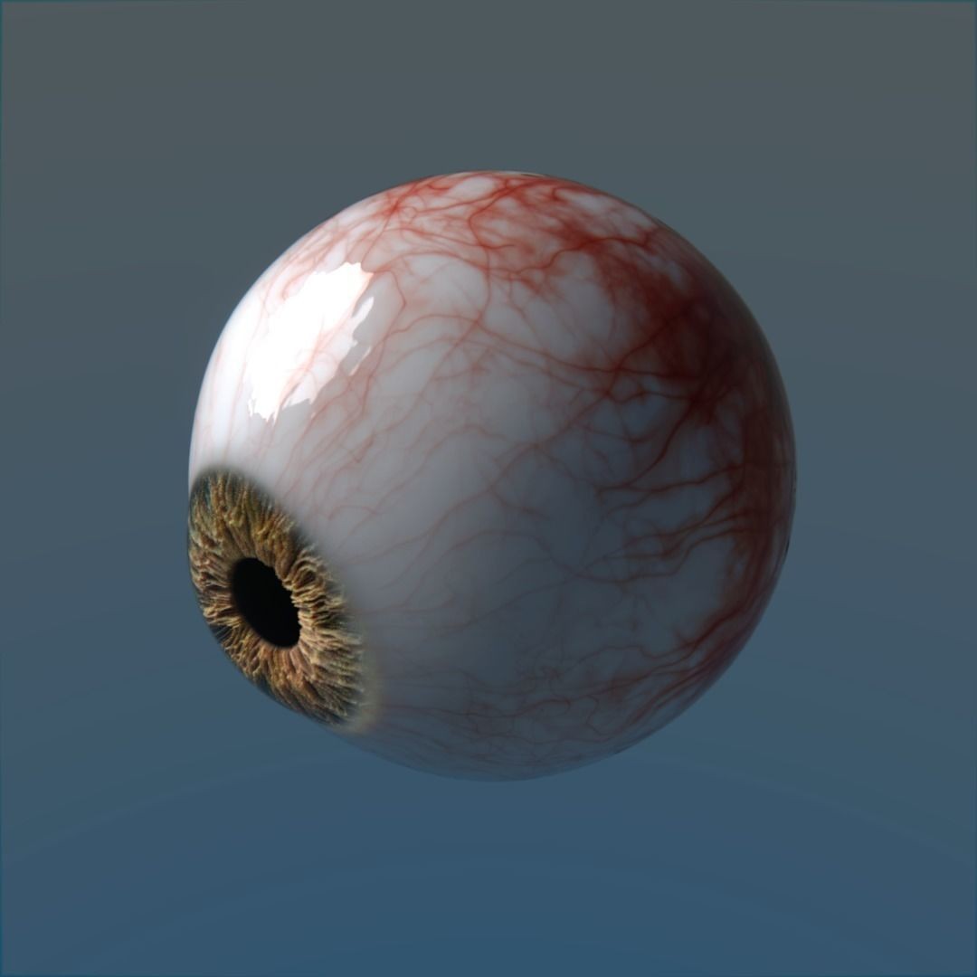 Photorealistic Human Eyes 3D Model – Low Poly Rigged Asset for Blender & V-Ray - View 8
