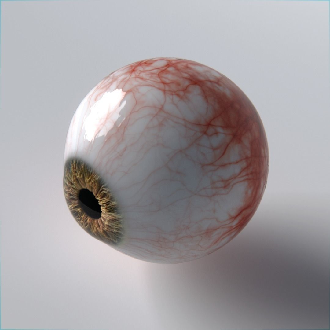 Photorealistic Human Eyes 3D Model – Low Poly Rigged Asset for Blender & V-Ray - View 9