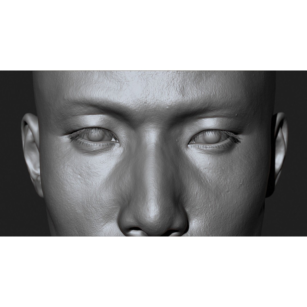 Asian Male Head 3D Model – High Poly Zbrush Character, OBJ Files - View 11