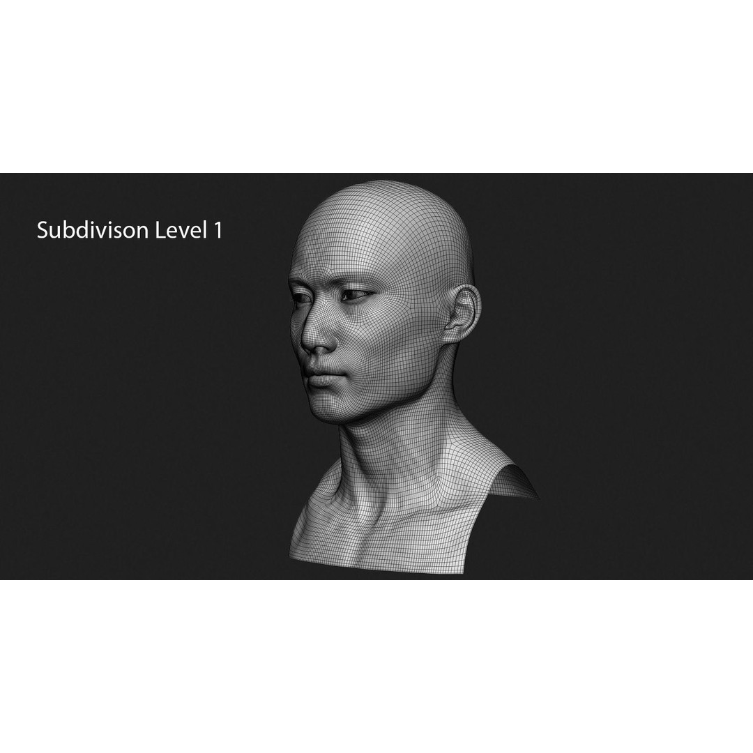 Asian Male Head 3D Model – High Poly Zbrush Character, OBJ Files - View 15