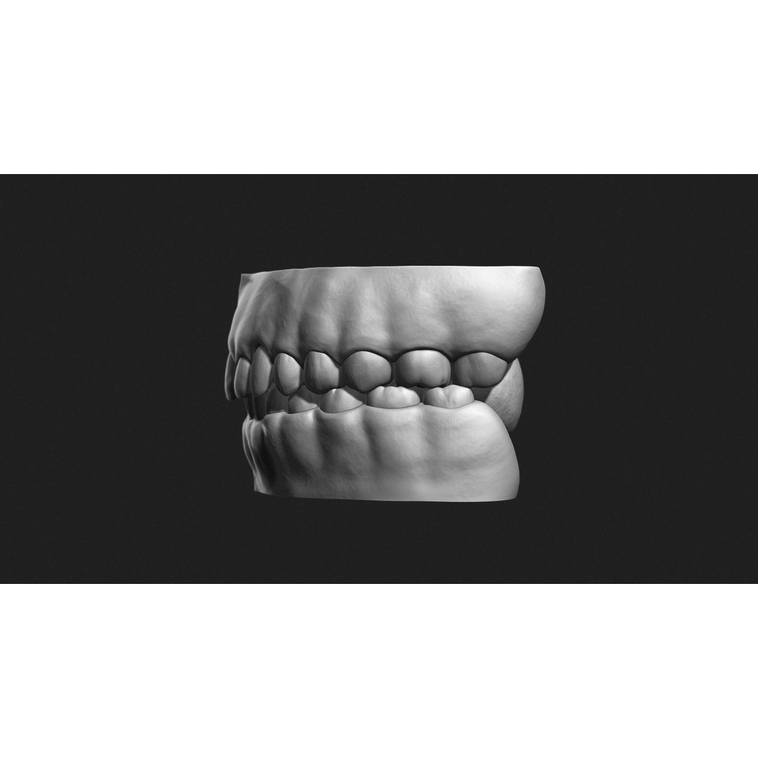 Asian Male Head 3D Model – High Poly Zbrush Character, OBJ Files - View 20