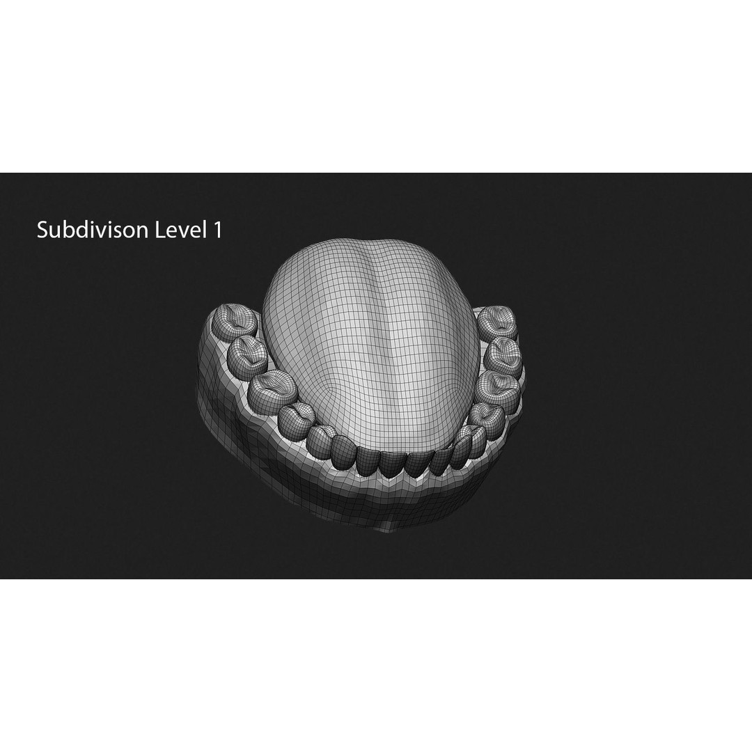 Asian Male Head 3D Model – High Poly Zbrush Character, OBJ Files - View 28