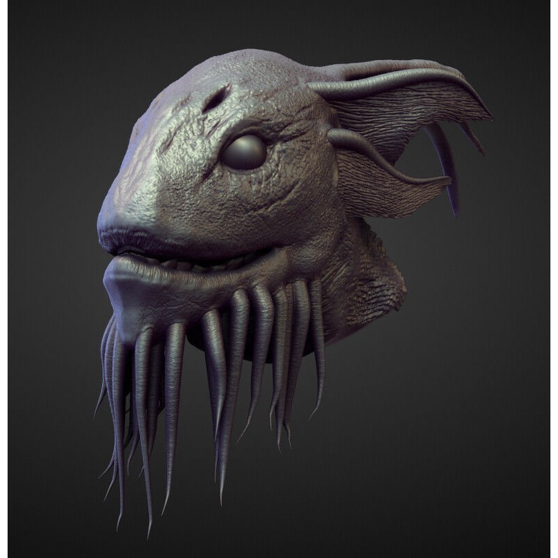 High Poly Heads 3D Model – Character Anatomy Pack for Blender - View 17