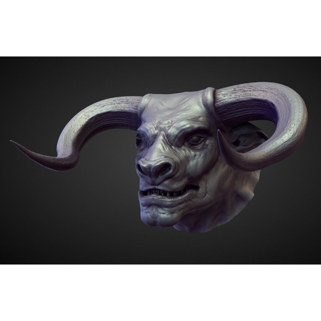 High Poly Heads 3D Model – Character Anatomy Pack for Blender - View 18