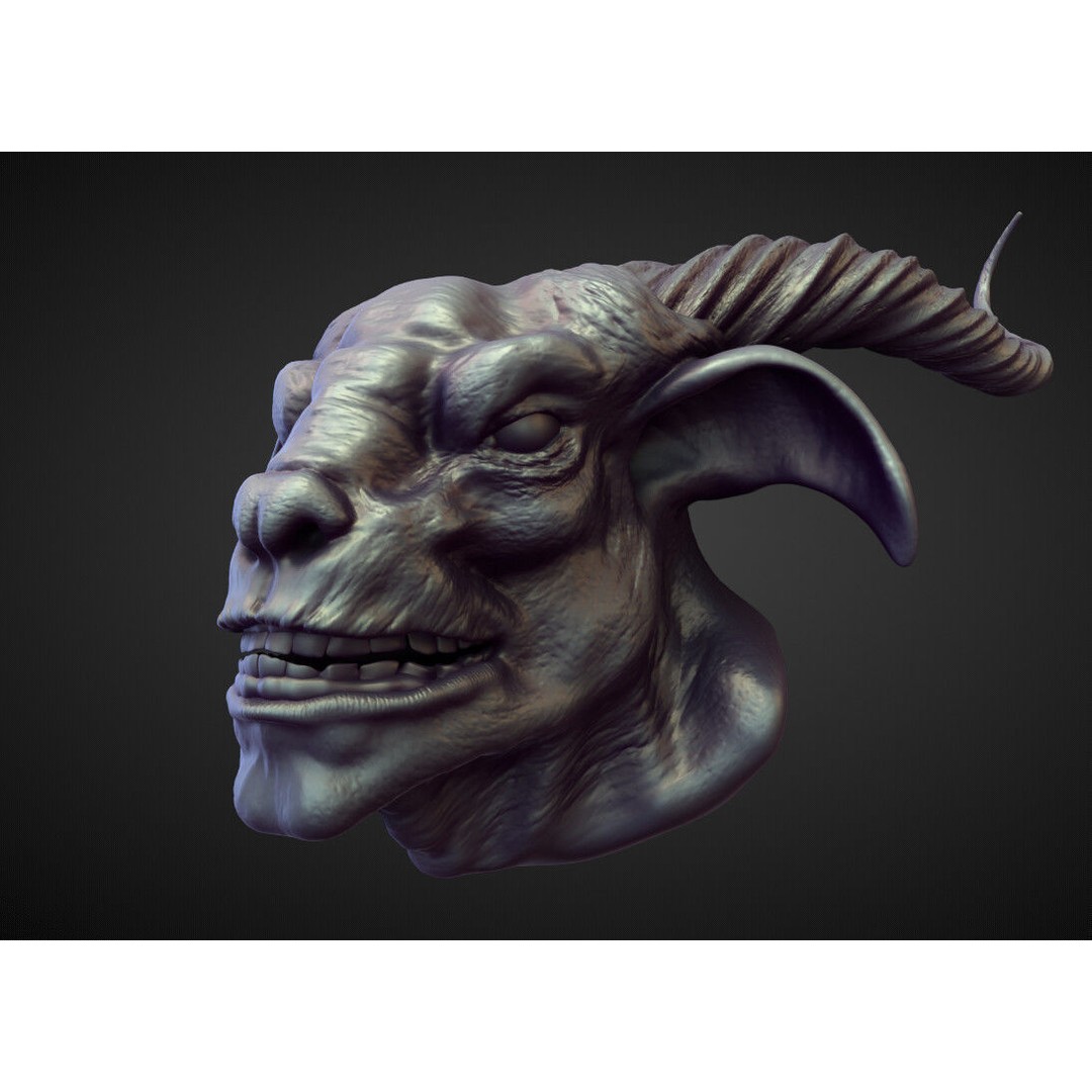 High Poly Heads 3D Model – Character Anatomy Pack for Blender - View 24