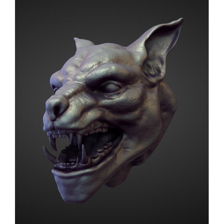 High Poly Heads 3D Model – Character Anatomy Pack for Blender - View 28