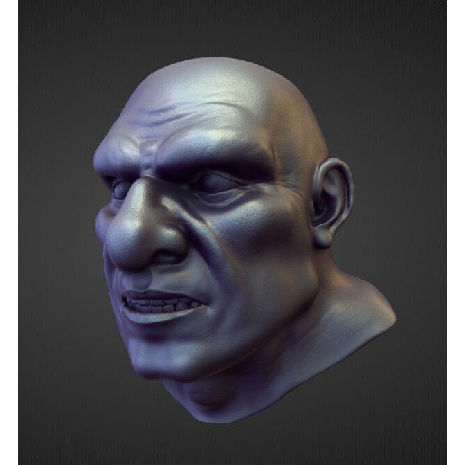 High Poly Heads 3D Model – Character Anatomy Pack for Blender - View 34