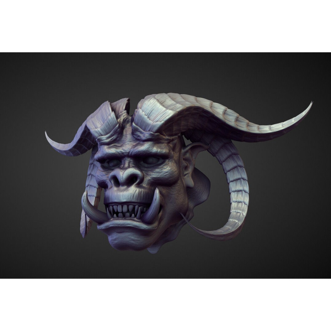 High Poly Heads 3D Model – Character Anatomy Pack for Blender - View 39