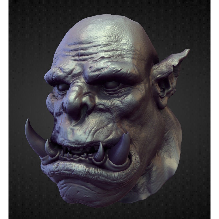 High Poly Heads 3D Model – Character Anatomy Pack for Blender - View 4