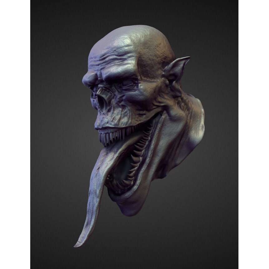 High Poly Heads 3D Model – Character Anatomy Pack for Blender - View 43
