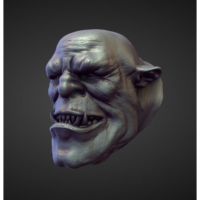 High Poly Heads 3D Model – Character Anatomy Pack for Blender - View 44