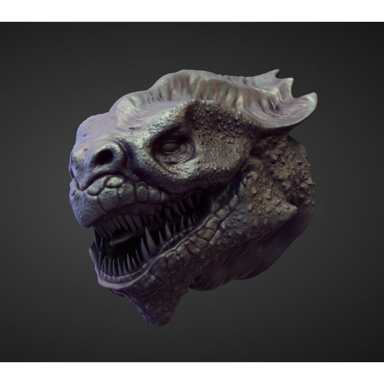 High Poly Heads 3D Model – Character Anatomy Pack for Blender - View 46