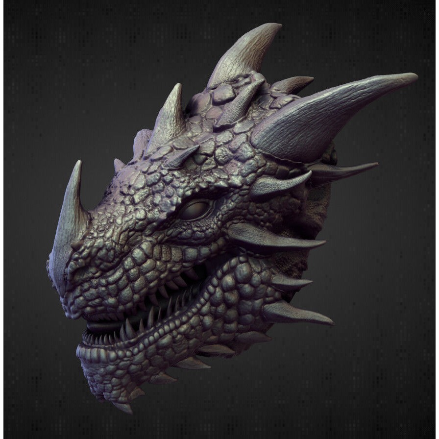 High Poly Heads 3D Model – Character Anatomy Pack for Blender - View 8