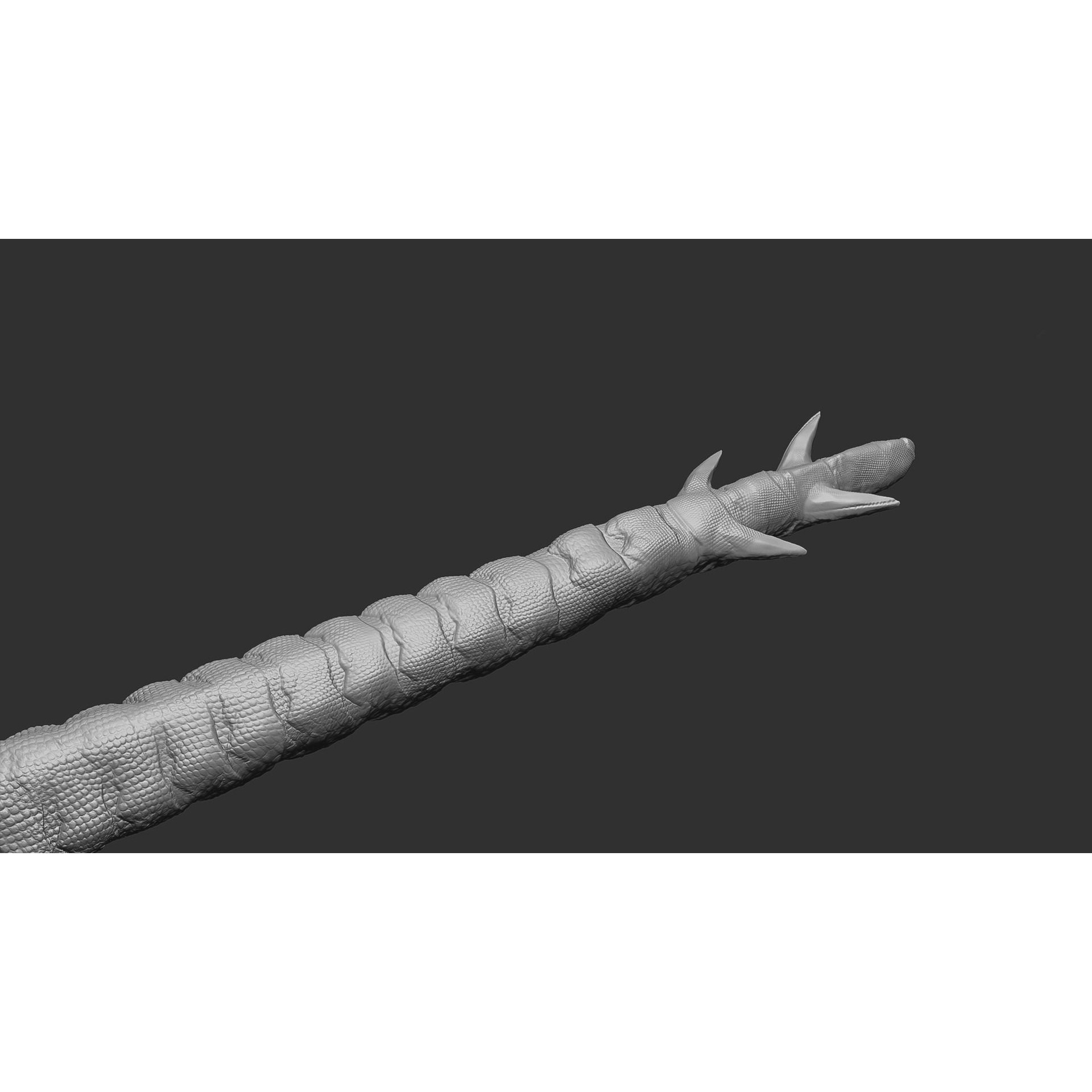 The Wyrm - Low-Poly Game-Ready 3D Model - View 31