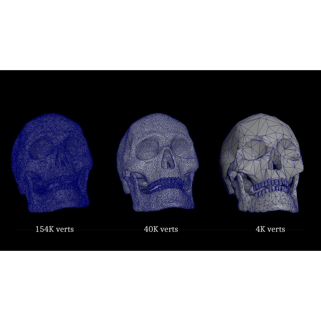 Human Skull 3D Model – Realistic Low Poly PBR Asset, FBX