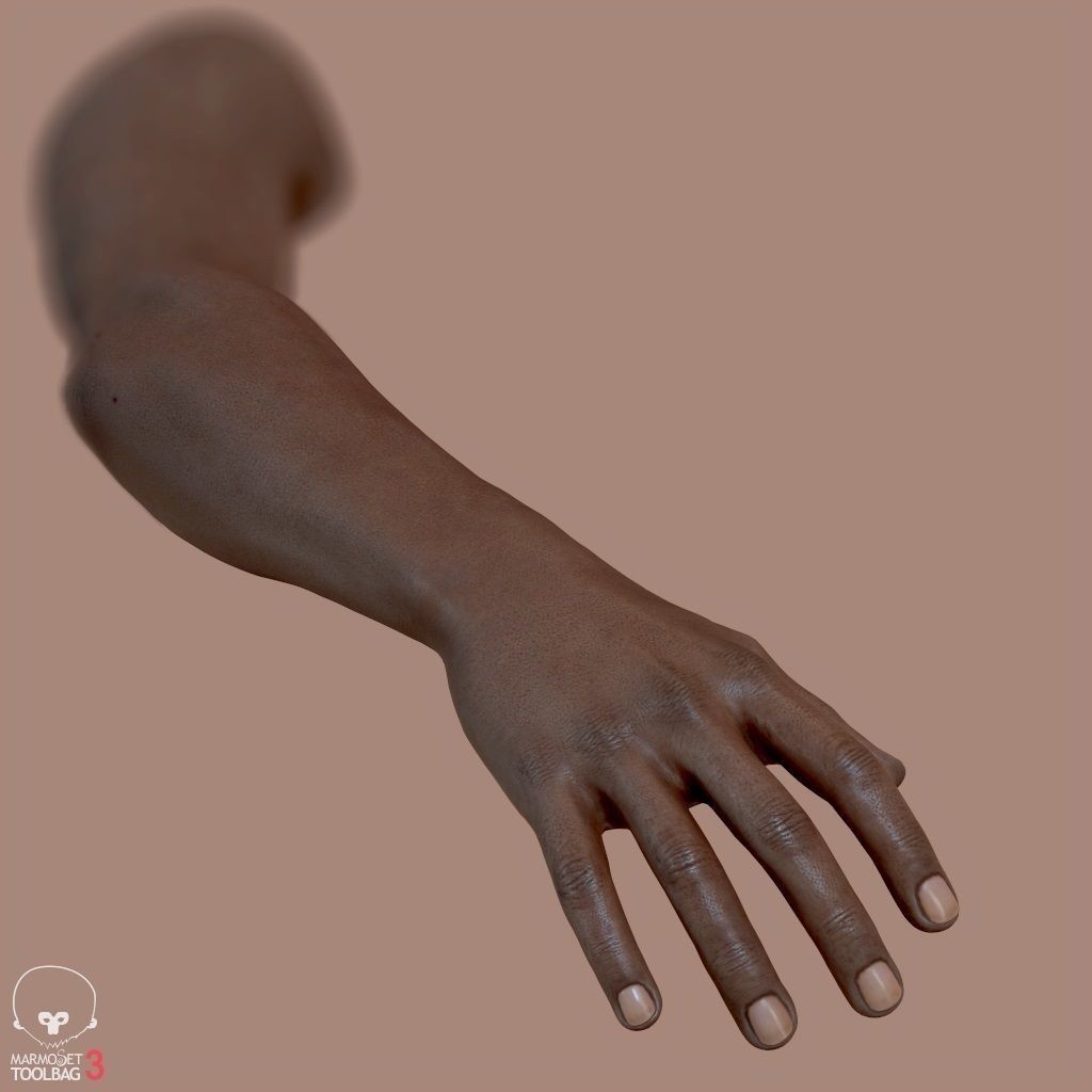 First Person Arms 3D Model – Low Poly Game-Ready Asset, FBX, OBJ - View 13