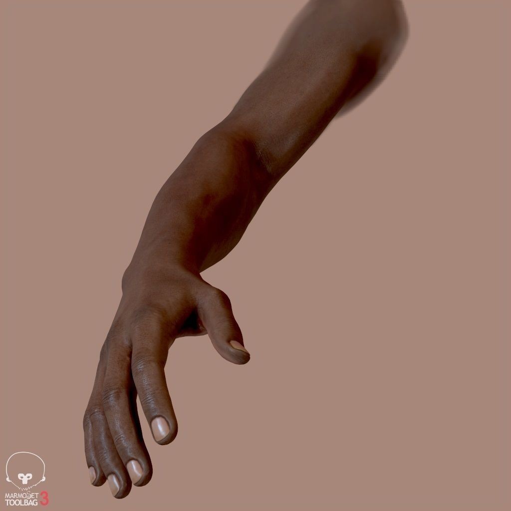 First Person Arms 3D Model – Low Poly Game-Ready Asset, FBX, OBJ - View 14