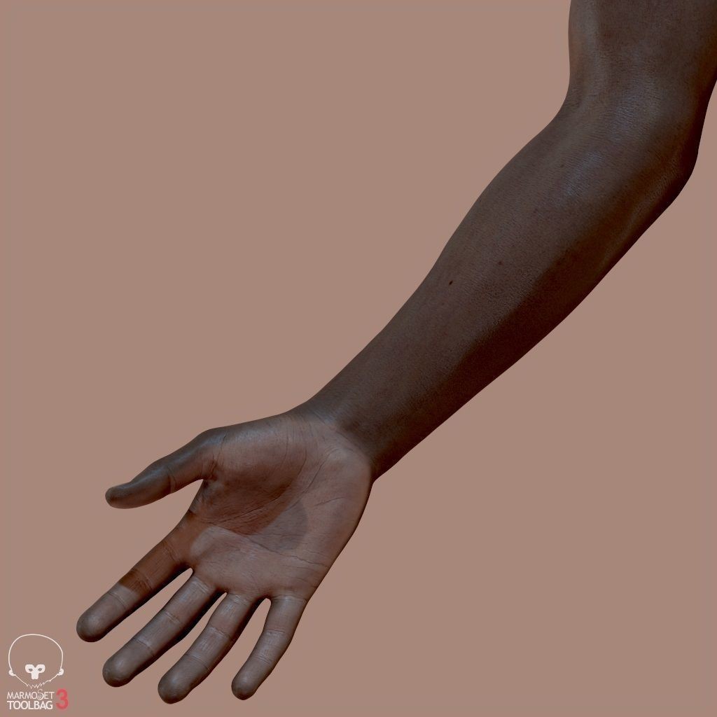 First Person Arms 3D Model – Low Poly Game-Ready Asset, FBX, OBJ - View 16