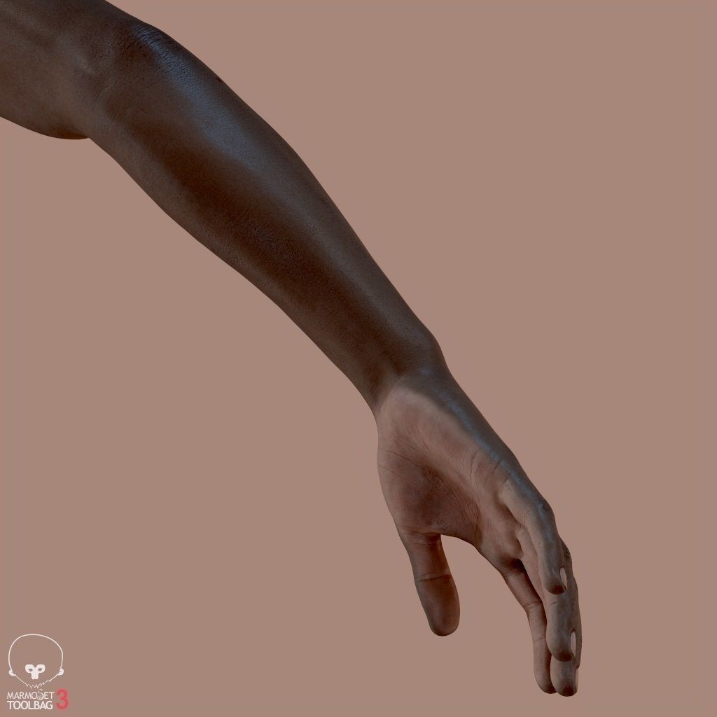 First Person Arms 3D Model – Low Poly Game-Ready Asset, FBX, OBJ - View 17