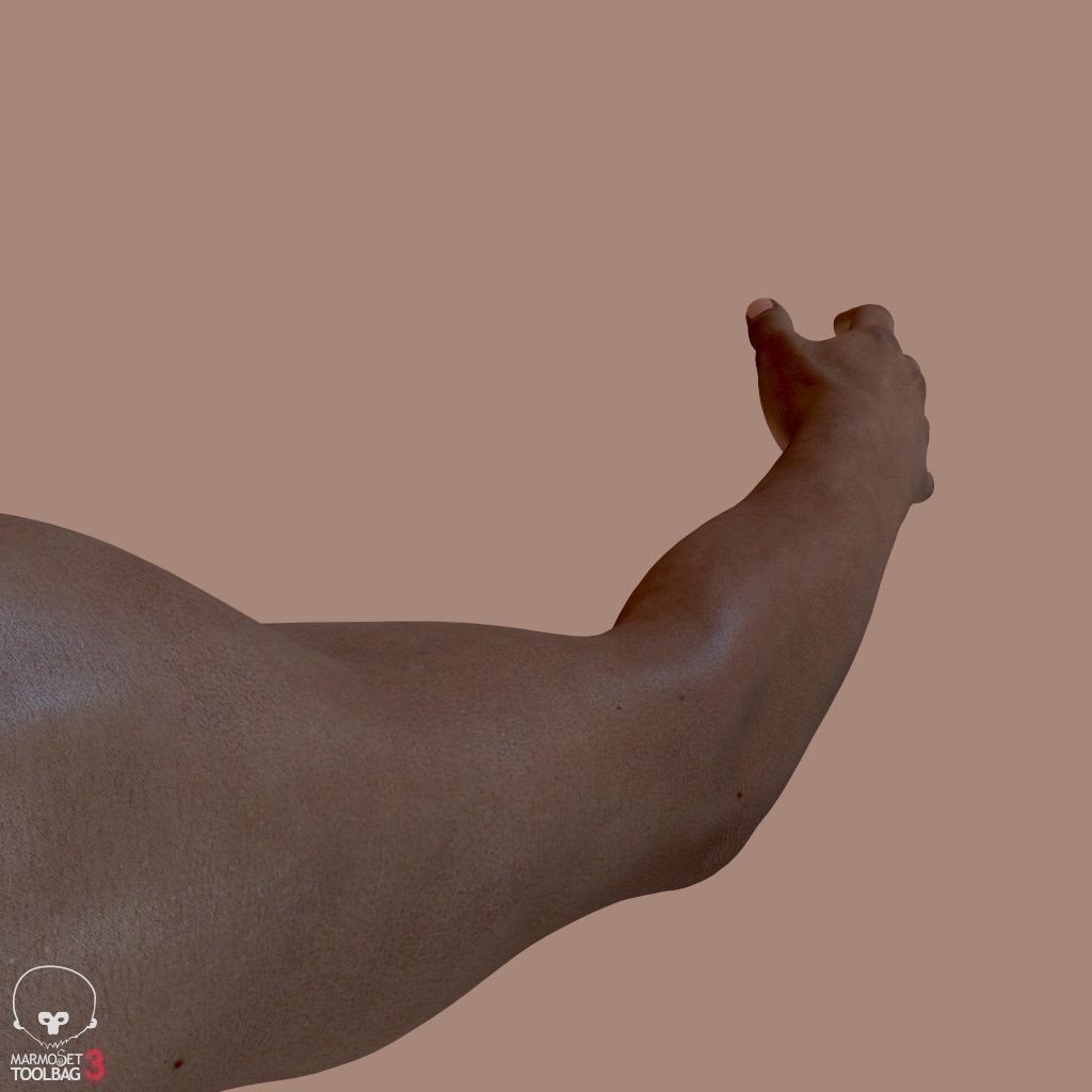 First Person Arms 3D Model – Low Poly Game-Ready Asset, FBX, OBJ - View 19