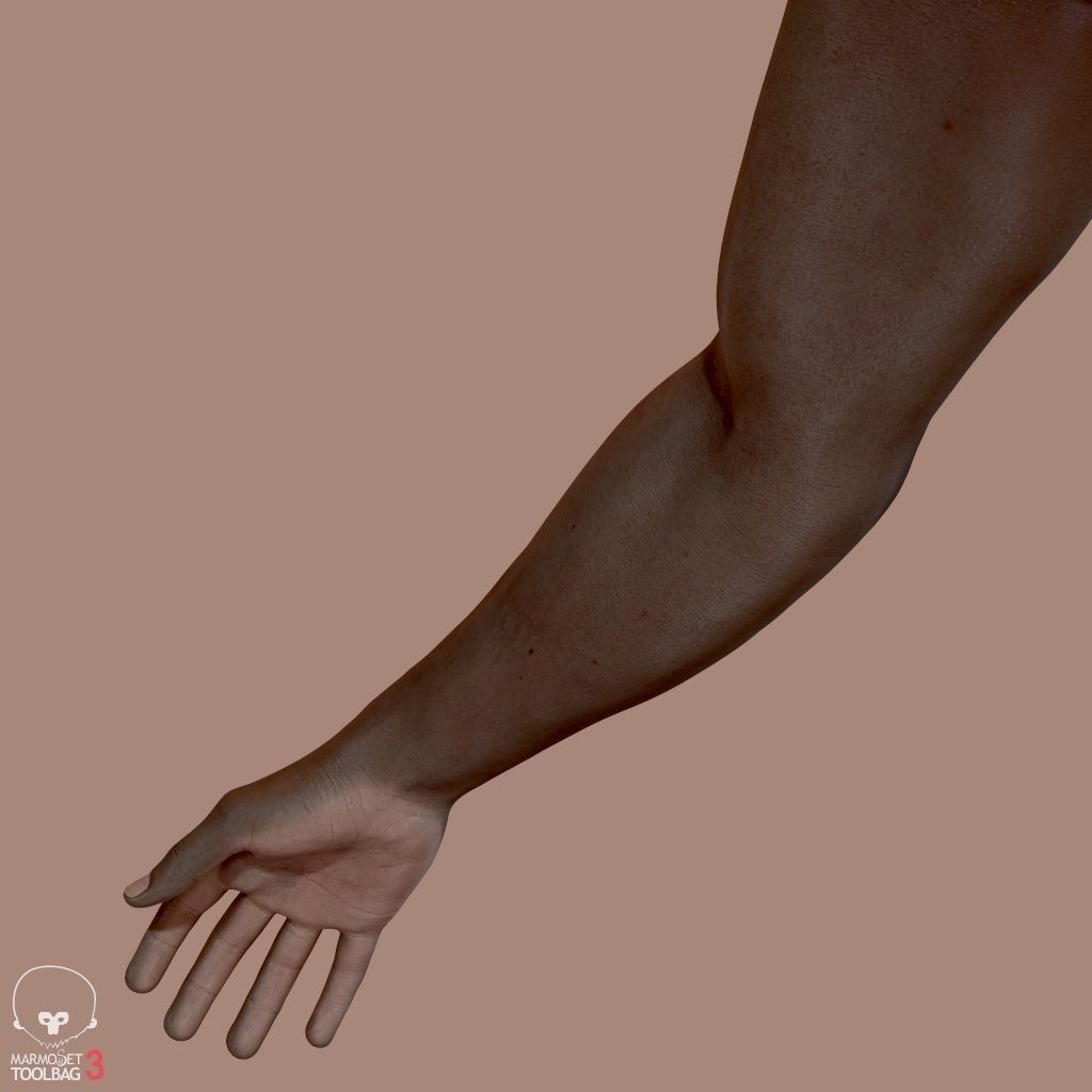 First Person Arms 3D Model – Low Poly Game-Ready Asset, FBX, OBJ - View 20