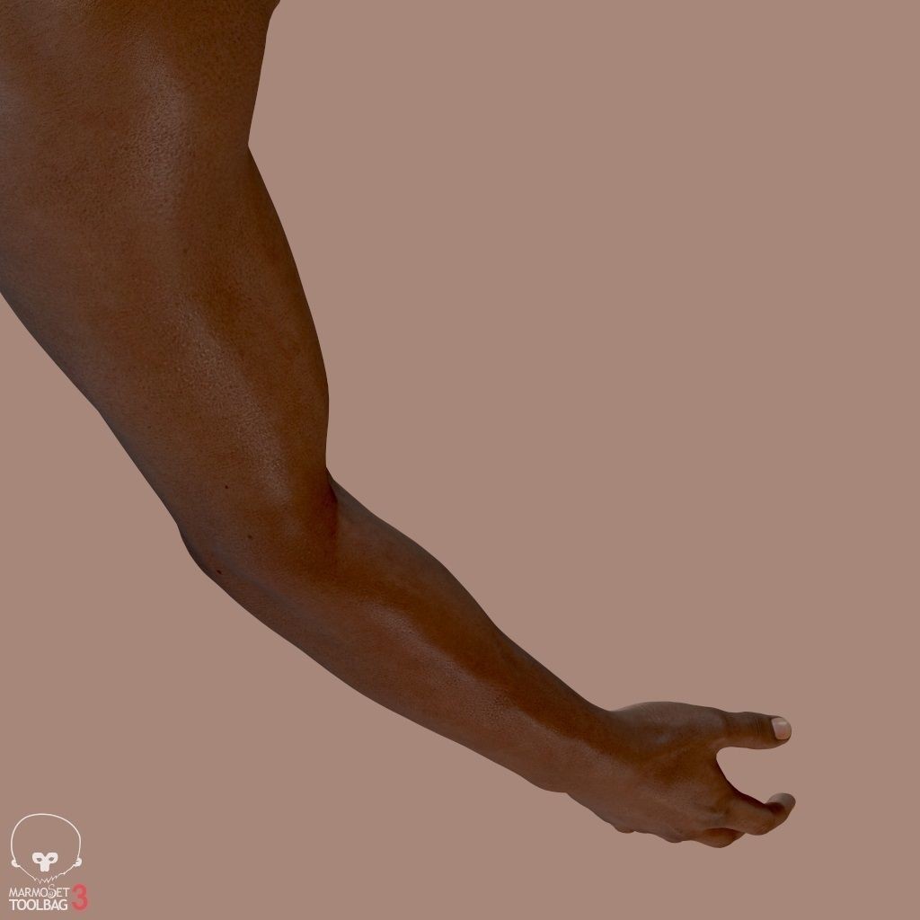 First Person Arms 3D Model – Low Poly Game-Ready Asset, FBX, OBJ - View 21