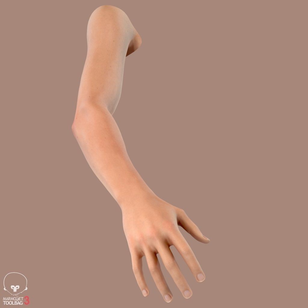 First Person Arms 3D Model – Low Poly Game-Ready Asset, FBX, OBJ - View 23