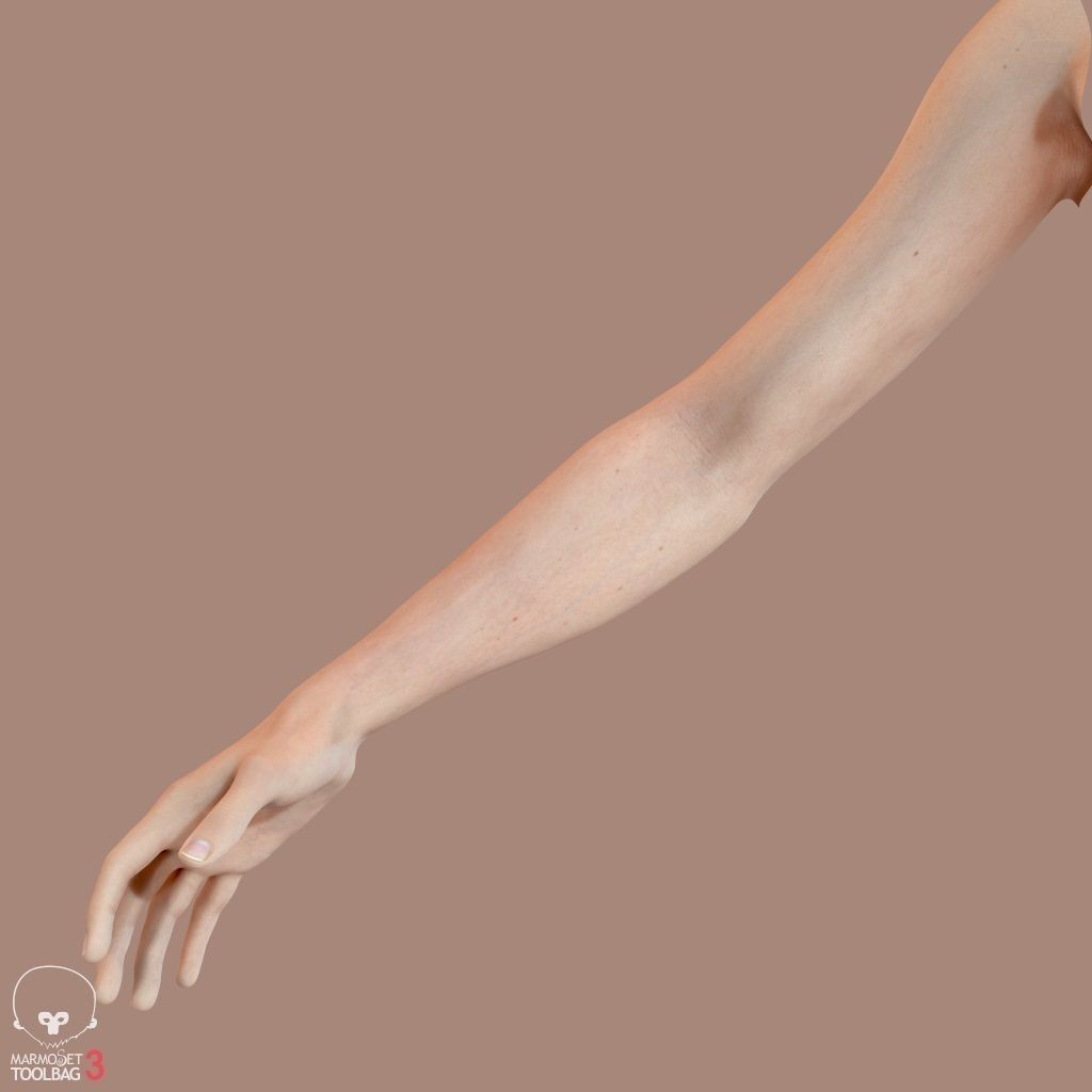 First Person Arms 3D Model – Low Poly Game-Ready Asset, FBX, OBJ - View 25