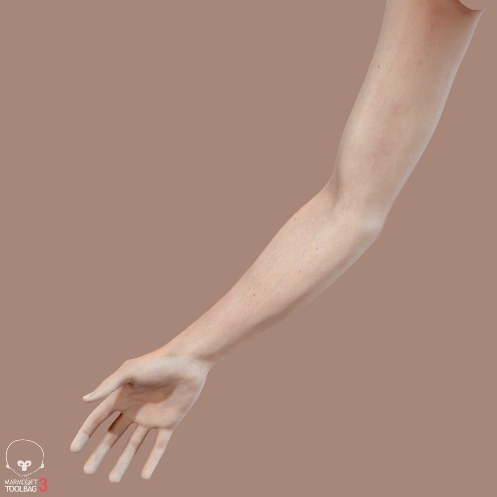 First Person Arms 3D Model – Low Poly Game-Ready Asset, FBX, OBJ - View 26