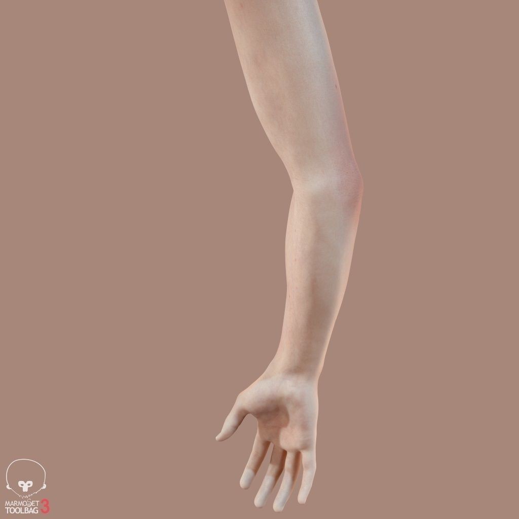 First Person Arms 3D Model – Low Poly Game-Ready Asset, FBX, OBJ - View 27