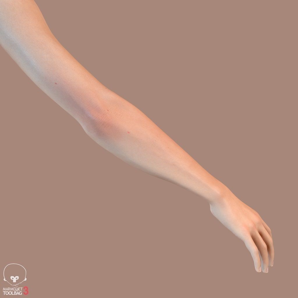 First Person Arms 3D Model – Low Poly Game-Ready Asset, FBX, OBJ - View 28