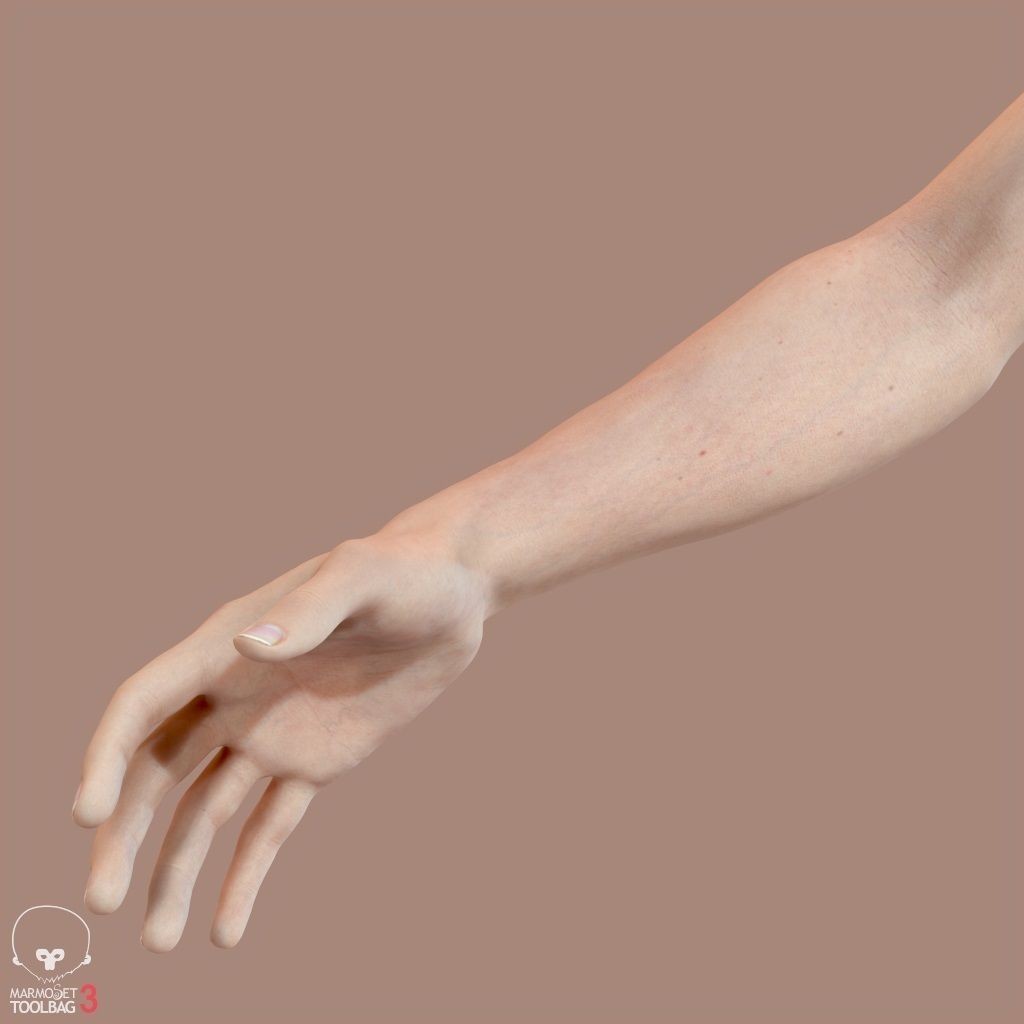 First Person Arms 3D Model – Low Poly Game-Ready Asset, FBX, OBJ - View 32