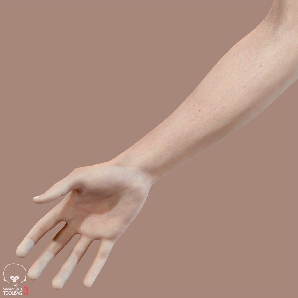 First Person Arms 3D Model – Low Poly Game-Ready Asset, FBX, OBJ - View 33