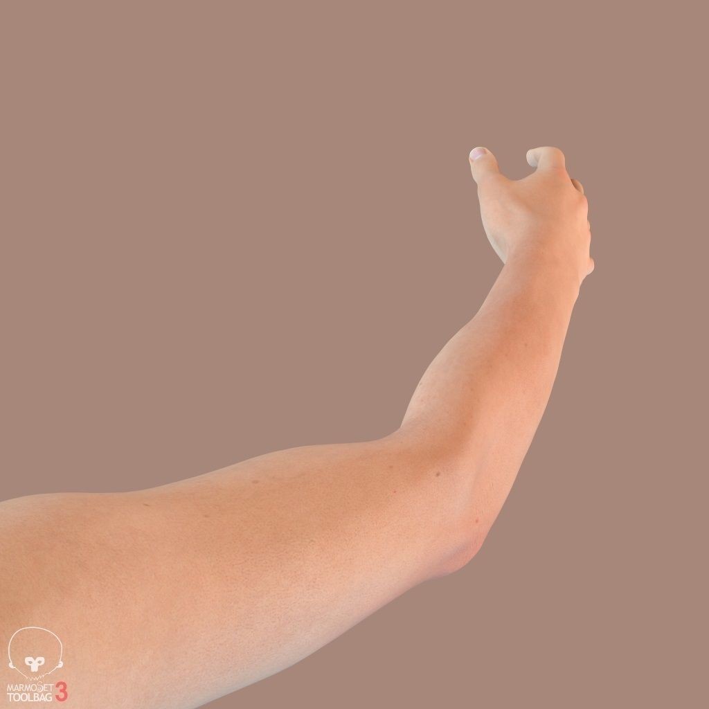 First Person Arms 3D Model – Low Poly Game-Ready Asset, FBX, OBJ - View 35